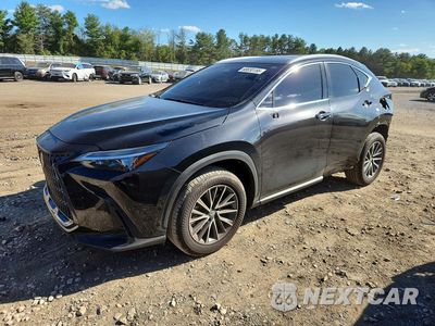 2026 LEXUS NX 350 BASE 2T2AGCEZ6TC116169 - główne zdjęcie licytacji z USA - miniatura