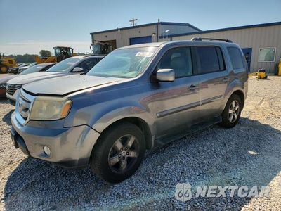 2009 HONDA PILOT EXL 5FNYF38649B016521 - główne zdjęcie licytacji z USA - miniatura