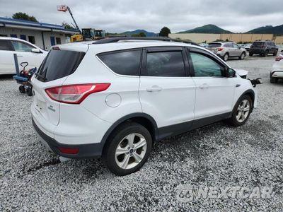 Trzecie zdjęcie samochodu z tyłu: 2014 FORD ESCAPE SE VIN:1FMCU0GX6EUA89492 - miniatura