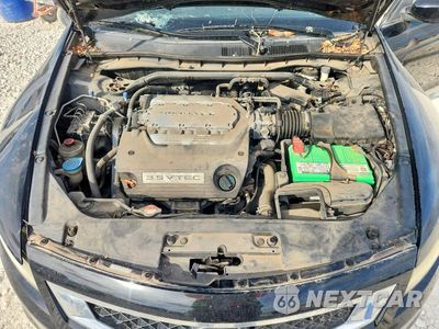 Zdjęcie 11 z 12 samochodu: 2010 HONDA ACCORD EXL VIN:1HGCS2A83AA010333 - miniatura