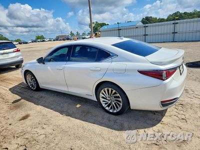 Drugie zdjęcie samochodu z przodu: 2020 LEXUS ES 300H LUXURY VIN:58AE21B12LU007187 - miniatura