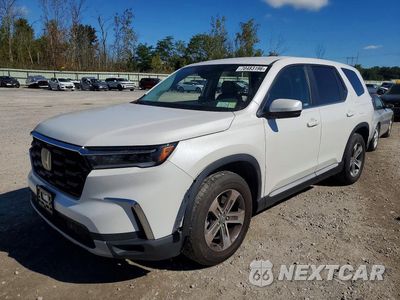 2024 HONDA PILOT EXL 5FNYG1H48RB049179 - główne zdjęcie licytacji z USA - miniatura