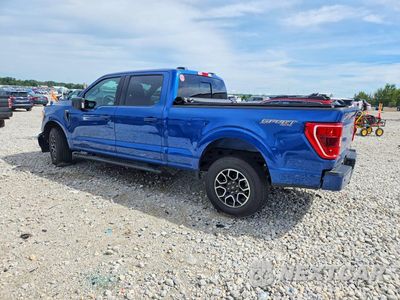 Drugie zdjęcie samochodu z przodu: 2023 FORD F150 SUPERCREW VIN:1FTFW1E8XPKF03207 - miniatura