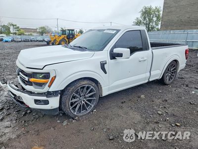 2024 FORD F150 XL 1FTMF1L51RKE08473 - główne zdjęcie licytacji z USA - miniatura