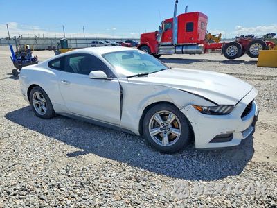 Czwarte zdjęcie samochodu z boku: 2016 FORD MUSTANG VIN:1FA6P8AM4G5273497 - miniatura