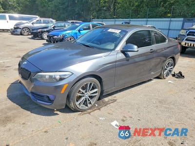 2019 BMW 2 SERIES 230I WBA2J1C51KVD10134 - główne zdjęcie licytacji z USA - miniatura