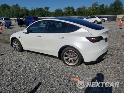 Drugie zdjęcie samochodu z przodu: 2024 TESLA MODEL Y VIN:7SAYGDEE8RA239062 - miniatura
