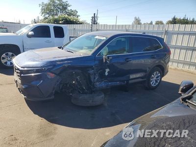 2024 HONDA CR-V LX 2HKRS4H22RH412094 - główne zdjęcie licytacji z USA - miniatura