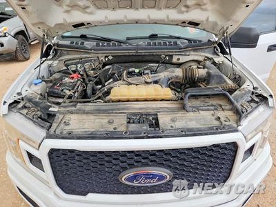 Zdjęcie 11 z 12 samochodu: 2019 FORD F150 SUPERCREW VIN:1FTEW1CP0KKC84076 - miniatura