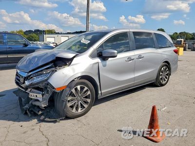 2022 HONDA ODYSSEY EXL 5FNRL6H76NB001911 - główne zdjęcie licytacji z USA - miniatura