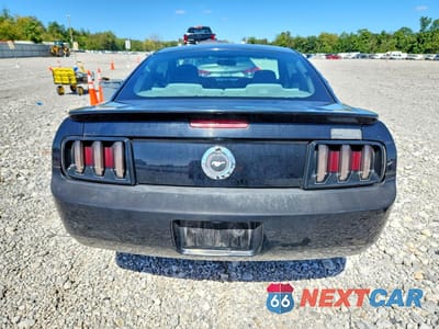Zdjęcie 6 z 12 samochodu: 2008 FORD MUSTANG VIN:1ZVHT80NX85191538 - miniatura