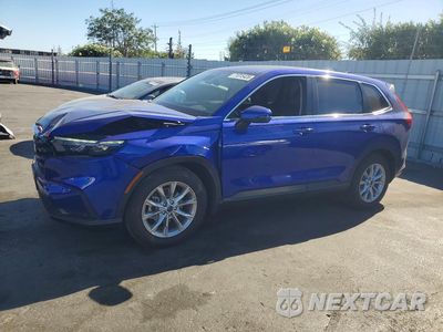 2024 HONDA CR-V EXL 2HKRS4H79RH450658 - główne zdjęcie licytacji z USA - miniatura