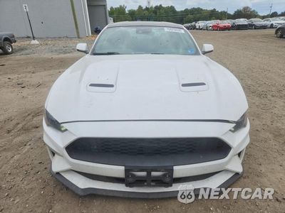 Piąte zdjęcie samochodu w środku: 2019 FORD MUSTANG VIN:1FA6P8TH1K5133240 - miniatura