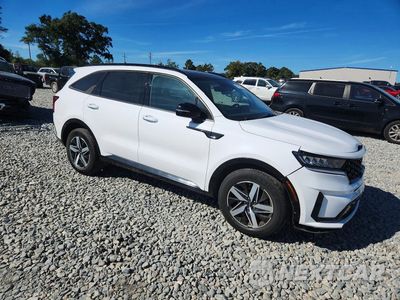 Czwarte zdjęcie samochodu z boku: 2023 KIA SORENTO S VIN:5XYRL4LC2PG169257 - miniatura