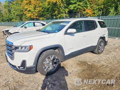 2021 GMC ACADIA SLT 1GKKNULS1MZ128171 - główne zdjęcie licytacji z USA - miniatura