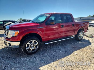 2013 FORD F150 SUPERCREW 1FTFW1EF8DFD47512 - główne zdjęcie licytacji z USA - miniatura