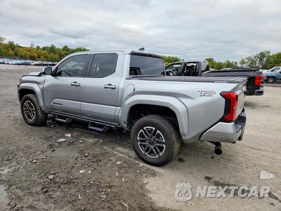 Drugie zdjęcie samochodu z przodu: 2024 TOYOTA TACOMA TRD SPORT VIN:3TMLB5JN6RM049955 - miniatura