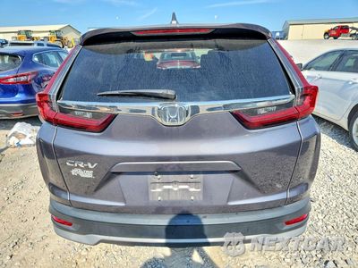 Zdjęcie 6 z 13 samochodu: 2020 HONDA CR-V EX VIN:2HKRW1H52LH401312 - miniatura
