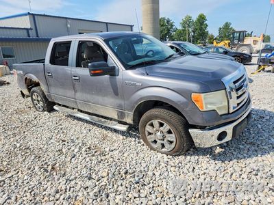 Czwarte zdjęcie samochodu z boku: 2009 FORD F150 SUPERCREW VIN:1FTRW12819FB10533 - miniatura