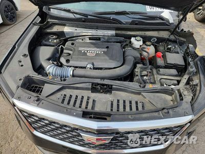 Zdjęcie 12 z 14 samochodu: 2024 CADILLAC XT4 PREMIUM LUXURY VIN:1GYFZDR43RF171553 - miniatura