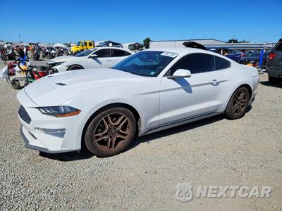 2019 FORD MUSTANG 1FA6P8TH4K5172534 - główne zdjęcie licytacji z USA - miniatura