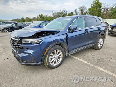 2024 HONDA CR-V EXL 7FARS4H76RE000968 - główne zdjęcie licytacji z USA - miniatura