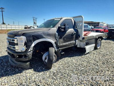 2025 FORD F550 SUPER DUTY 1FDFF5HT5SDA19008 - główne zdjęcie licytacji z USA - miniatura