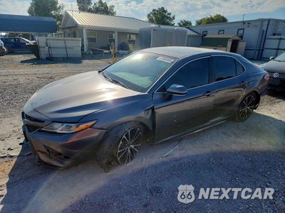 2019 TOYOTA CAMRY SE 4T1B11HK5KU284296 - główne zdjęcie licytacji z USA - miniatura