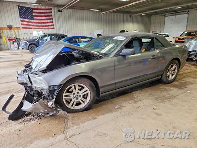 2013 FORD MUSTANG 1ZVBP8EM9D5224436 - główne zdjęcie licytacji z USA - miniatura