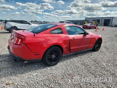 Trzecie zdjęcie samochodu z tyłu: 2010 FORD MUSTANG VIN:1ZVBP8AN1A5128438 - miniatura