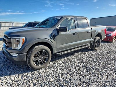 2021 FORD F150 SUPERCREW 1FTEW1EP5MFC53964 - główne zdjęcie licytacji z USA - miniatura