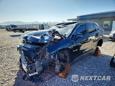 2019 TOYOTA RAV4 XLE JTMP1RFV4KJ002107 - główne zdjęcie licytacji z USA - miniatura