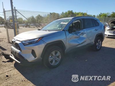 2025 TOYOTA RAV4 XLE 2T3W1RFV3SC329905 - główne zdjęcie licytacji z USA - miniatura