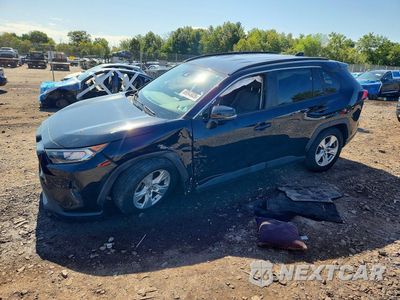 2021 TOYOTA RAV4 XLE 2T3W1RFV8MW116286 - główne zdjęcie licytacji z USA - miniatura