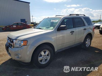 2009 FORD ESCAPE XLT 1FMCU03719KC59331 - główne zdjęcie licytacji z USA - miniatura