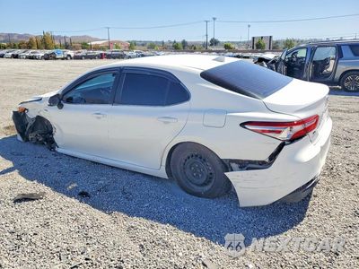 Drugie zdjęcie samochodu z przodu: 2020 TOYOTA CAMRY LE VIN:4T1C31AK0LU539947 - miniatura