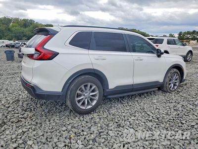 Trzecie zdjęcie samochodu z tyłu: 2025 HONDA CR-V EXL VIN:2HKRS4H70SH450859 - miniatura