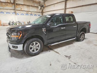 2025 FORD F150 XLT 1FTFW3L80SKE78227 - główne zdjęcie licytacji z USA - miniatura