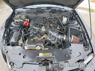 Zdjęcie 11 z 13 samochodu: 2012 FORD MUSTANG VIN:1ZVBP8AM9C5276735 - miniatura
