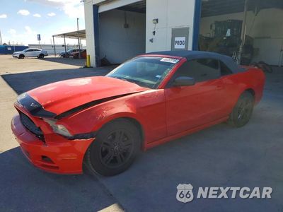 2013 FORD MUSTANG 1ZVBP8EM4D5209875 - główne zdjęcie licytacji z USA - miniatura
