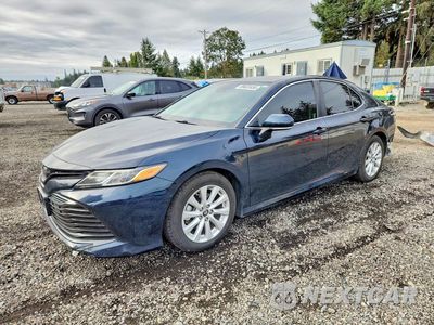 2019 TOYOTA CAMRY LE 4T1B11HK8KU235030 - główne zdjęcie licytacji z USA - miniatura