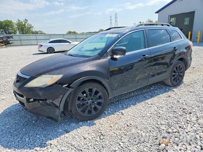 2008 MAZDA CX-9 JM3TB28A580155081 - główne zdjęcie licytacji z USA - miniatura