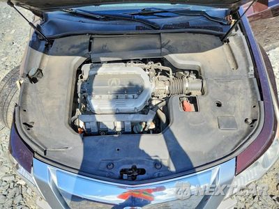 Zdjęcie 11 z 12 samochodu: 2009 ACURA TL VIN:19UUA865X9A016909 - miniatura