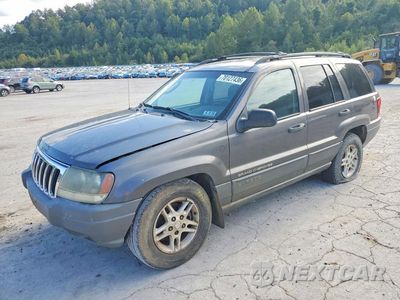 2004 JEEP GRAND CHEROKEE LAREDO 1J4GW48S54C325364 - główne zdjęcie licytacji z USA - miniatura