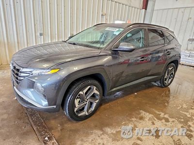 2023 HYUNDAI TUCSON SEL 5NMJFCAE3PH293465 - główne zdjęcie licytacji z USA - miniatura