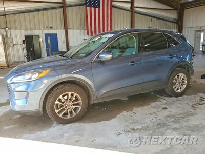 2020 FORD ESCAPE SE 1FMCU9G66LUC62131 - główne zdjęcie licytacji z USA - miniatura