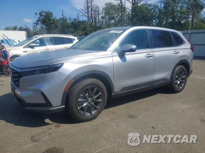 2026 HONDA CR-V EXL 7FARS4H76TE002632 - główne zdjęcie licytacji z USA - miniatura