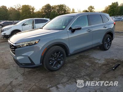 2026 HONDA CR-V EX 7FARS4H43TE001900 - główne zdjęcie licytacji z USA - miniatura