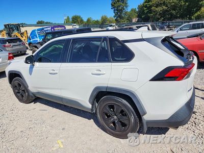 Drugie zdjęcie samochodu z przodu: 2019 TOYOTA RAV4 XLE VIN:JTMP1RFV3KD024484 - miniatura