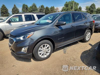 2019 CHEVROLET EQUINOX LS 3GNAXHEV8KS622996 - główne zdjęcie licytacji z USA - miniatura